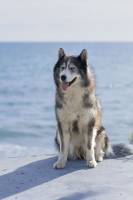 Martine SANCHEZ - M.STUDIOPHOTO13