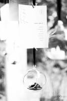 Aline CLADEL - TRIPLE ECLATS